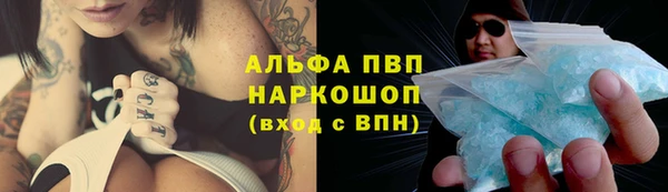 прущие крисы Магас