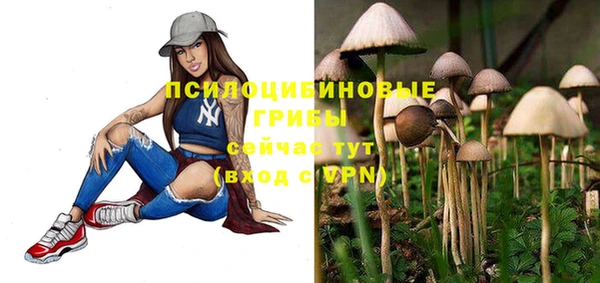 прущие крисы Магас