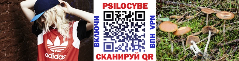 Купить  Дмитриев  Псилоцибиновые грибы мухоморы 