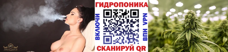 МАРИХУАНА план  Купить  Дмитриев 